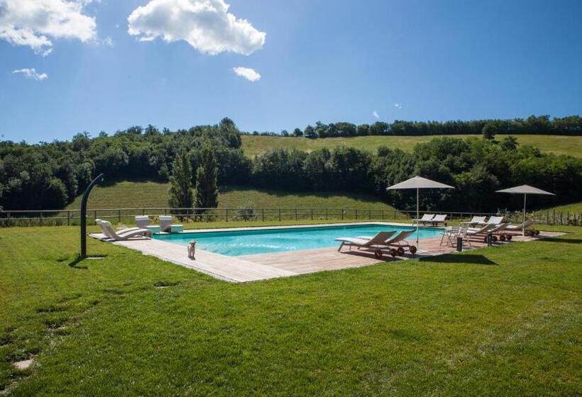 مبيت وإفطار Agriturismo Colle Casini Cortesi