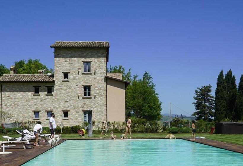 مبيت وإفطار Agriturismo Colle Casini Cortesi