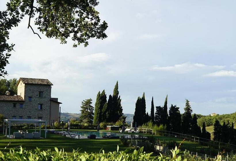 مبيت وإفطار Agriturismo Colle Casini Cortesi