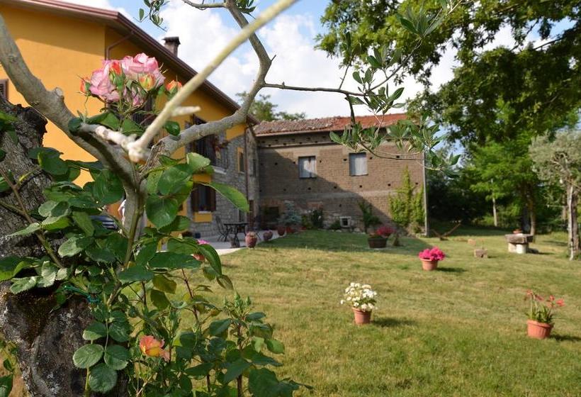 住宿加早餐 Campo Della Corte