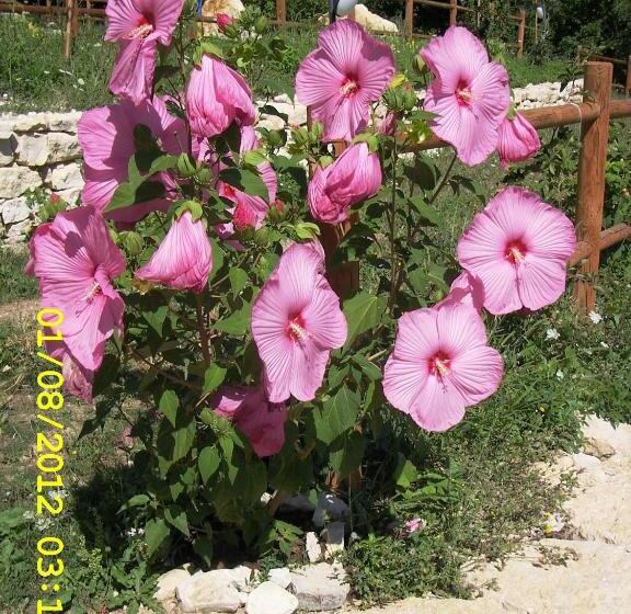 مبيت وإفطار Country House Antiche Dimore