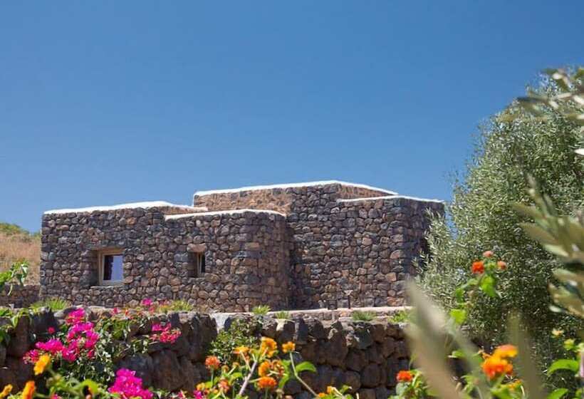 تختخواب و صبحانه Dammusi Al Qubba Wellness & Resort