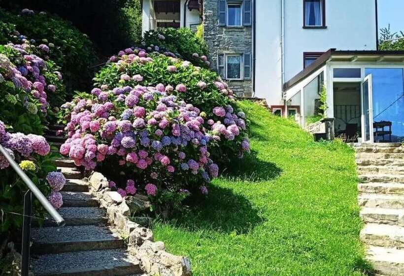 مبيت وإفطار Essentia Guest House