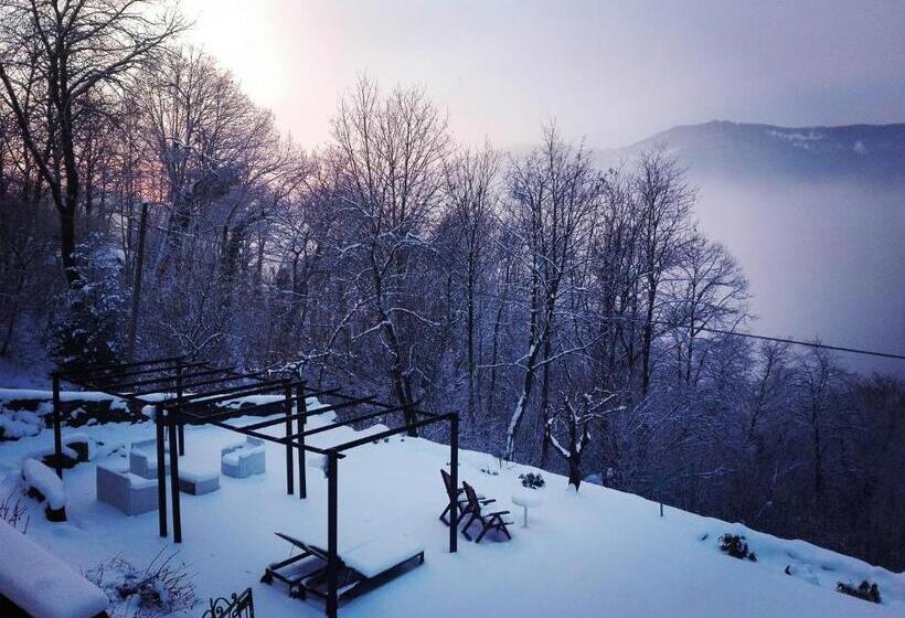 مبيت وإفطار Essentia Guest House