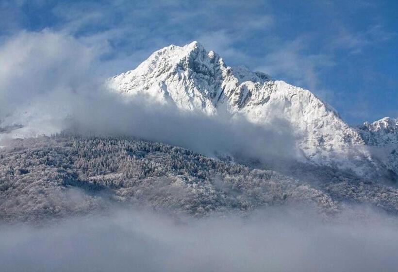 민박 La Maison Lion