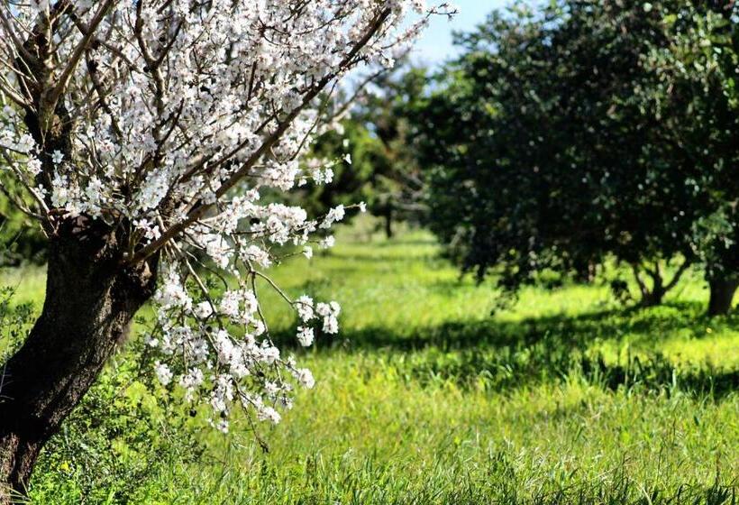 مبيت وإفطار Mater Bed & Food Riserva Naturale Di Torre Guaceto