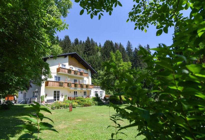 ベッドアンドブレックファースト Pension Seiwald In Kötschach
