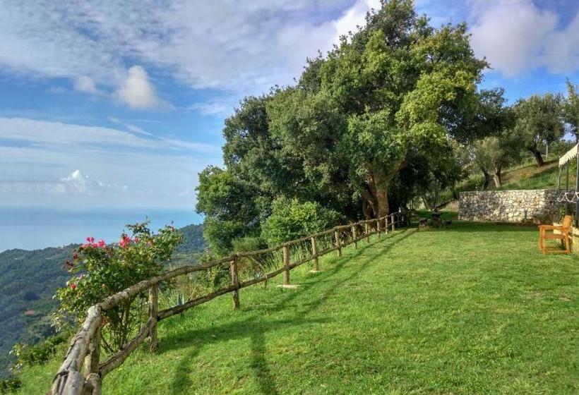 Driùs Edodè   B&b Affittacamere