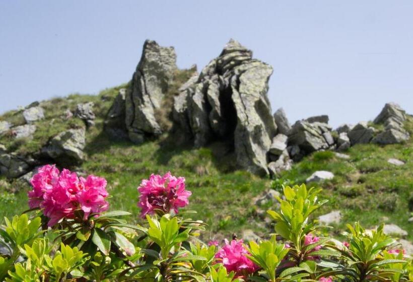 فندق Alpengasthof Grimmingblick