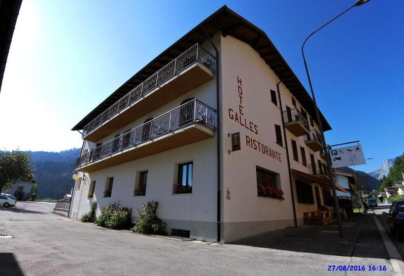 בית מלון כפרי Galles