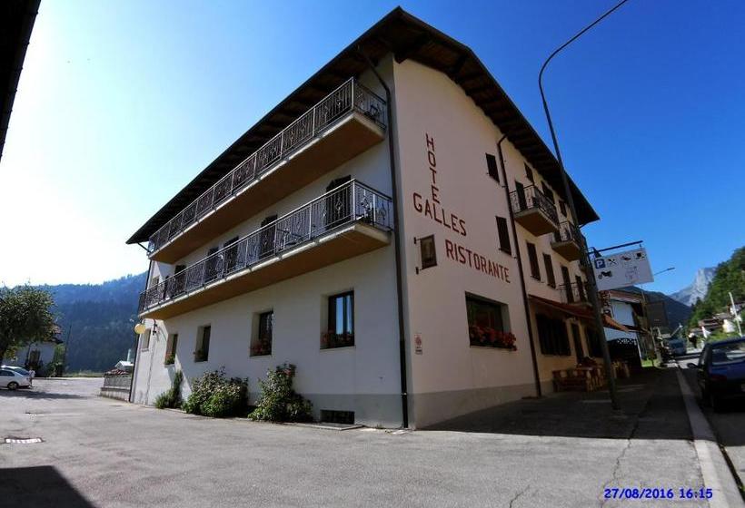 בית מלון כפרי Galles