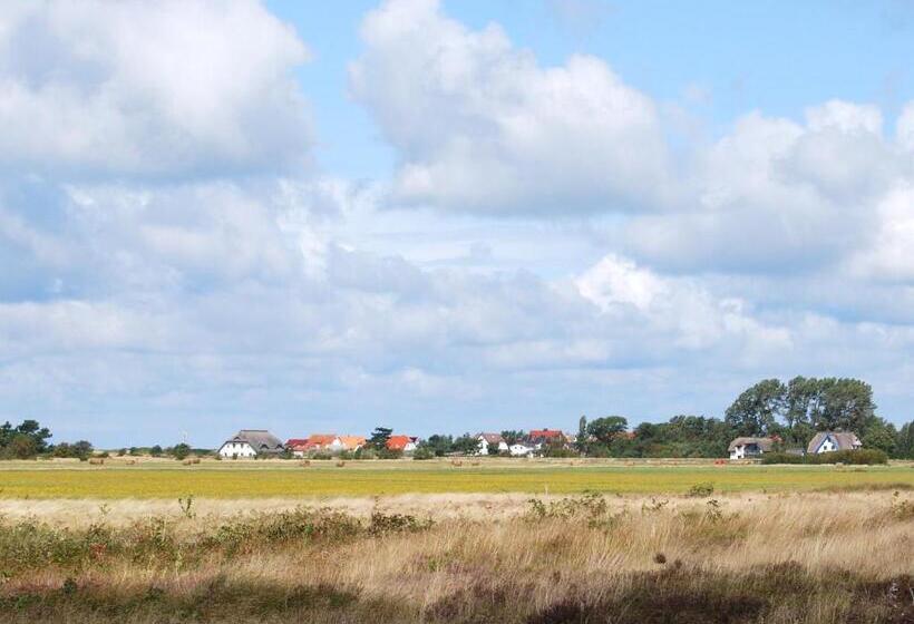 فندق Hiddensee Hitthim