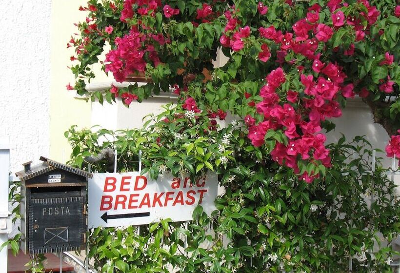 مبيت وإفطار Nonna Pina