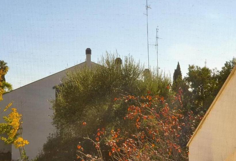 B&b Apulia Time