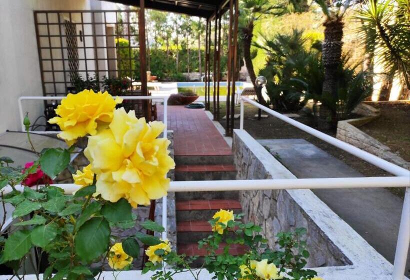 B&b Apulia Time