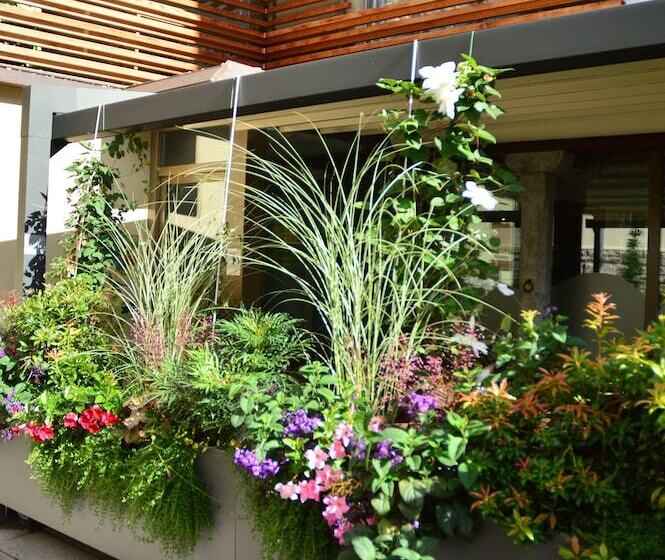 住宿加早餐  Locanda Blum In