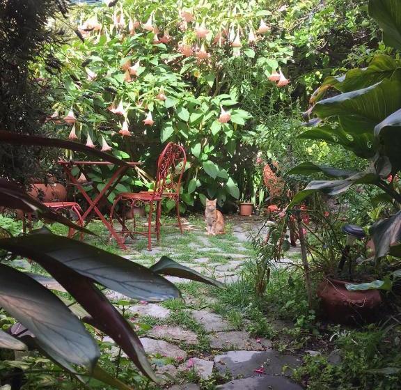 住宿加早餐  Il Giardino Segreto