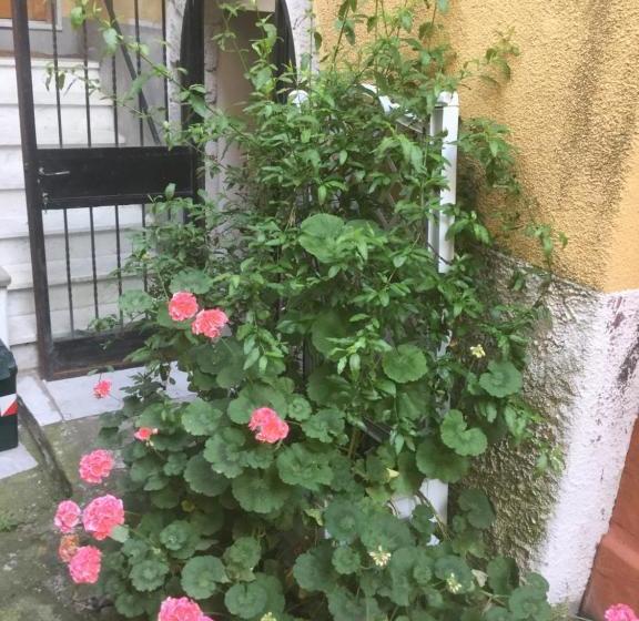 住宿加早餐  Il Giardino Segreto