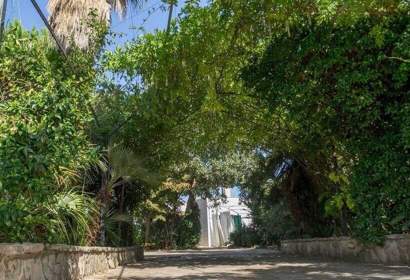 Bed and Breakfast Kalinifta   Io Parto Io Arrivo