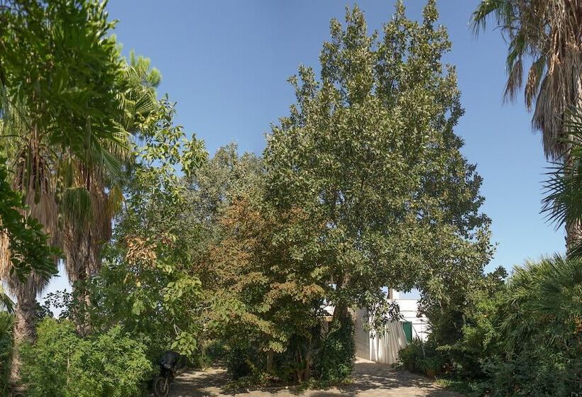 Bed and Breakfast Kalinifta   Io Parto Io Arrivo