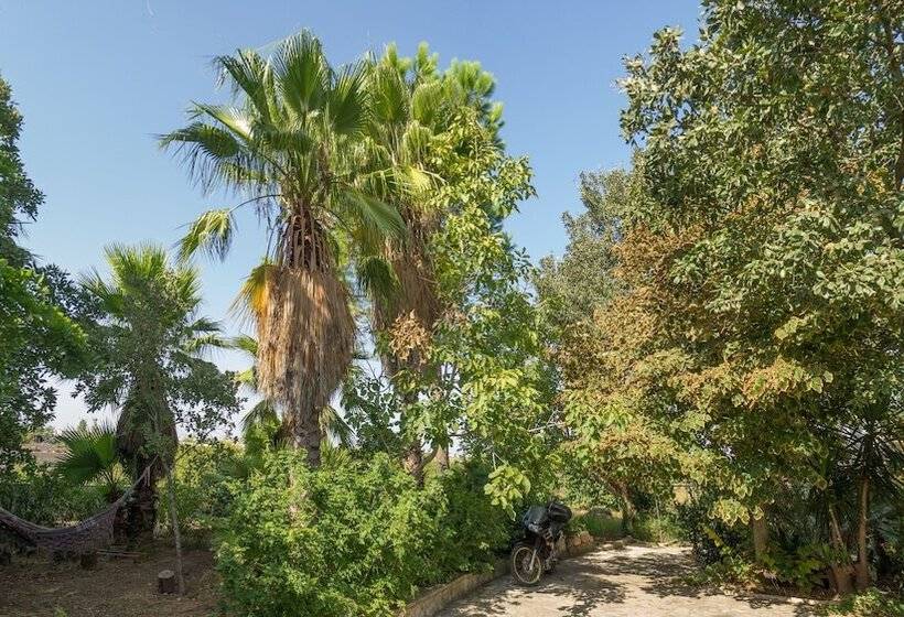 Bed and Breakfast Kalinifta   Io Parto Io Arrivo