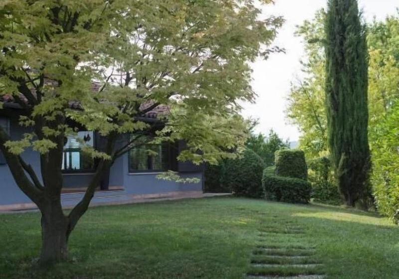 B&b Puntodivista