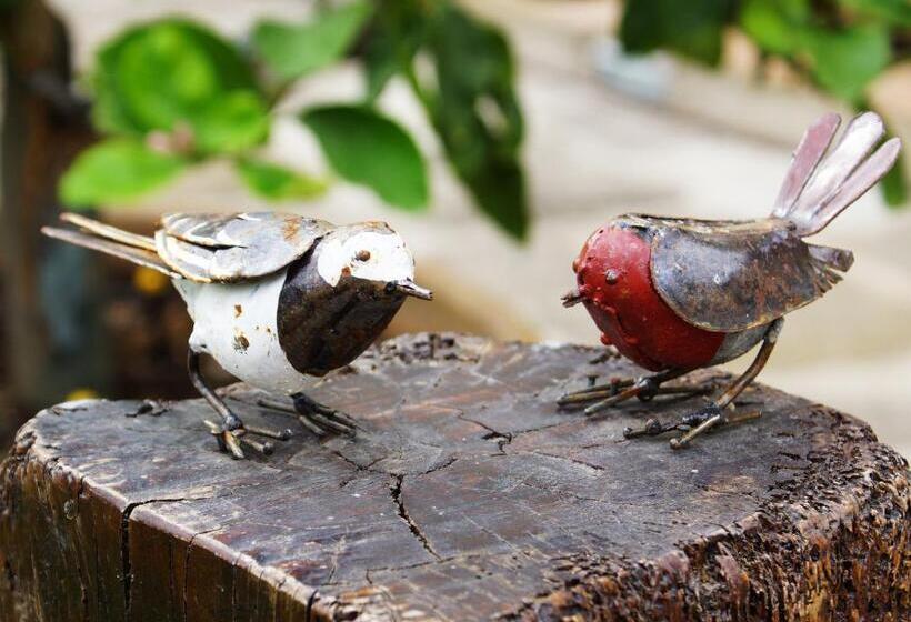 مبيت وإفطار La Corte Di Ronzano