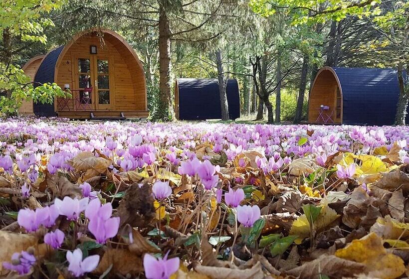 Bed and Breakfast La Rossignolerie   Pod Cabanes Des Châteaux