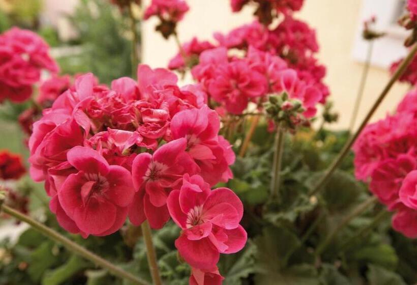 渡假胜地 Argonauti Residence