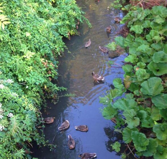 مبيت وإفطار Rosmarino