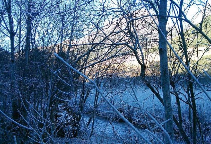 فندق صغير Guesthouse Seghetto