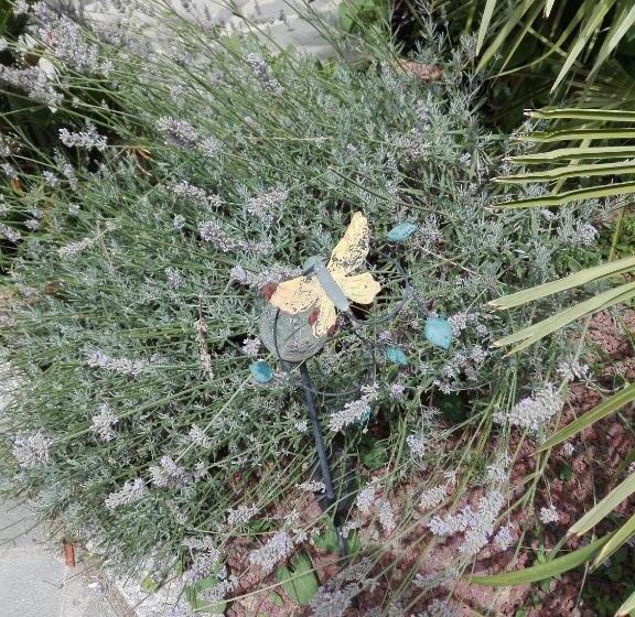 B & B Ametista Bergamo