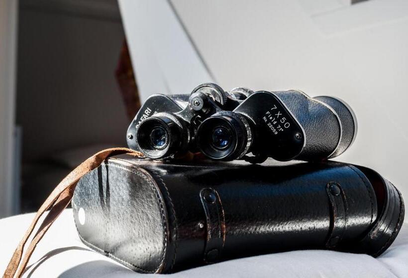 B&b Binnengewoon Rooms With A View