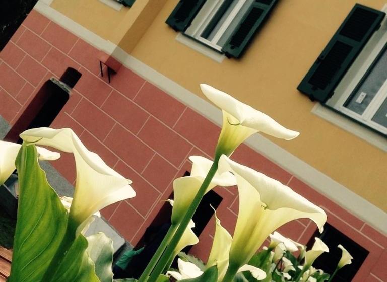 مبيت وإفطار Bbq Lodge