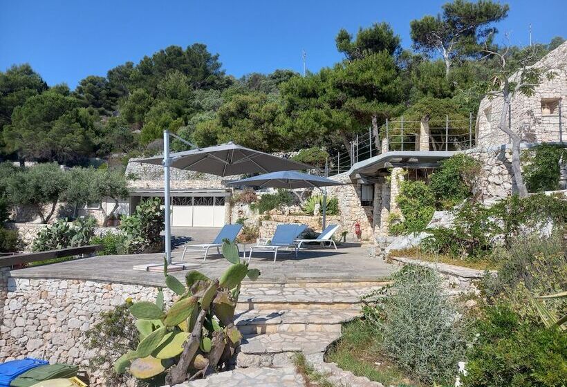 مبيت وإفطار La Casa Del Fico