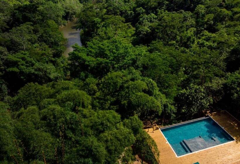 Отель Sweet Songs Jungle Lodge