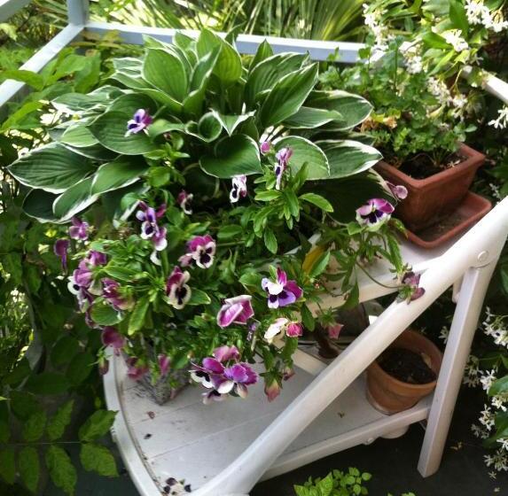 B&b Le Ortensie Lago Di Como