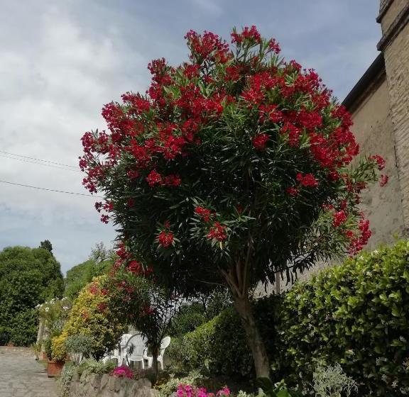 مبيت وإفطار Al Borgo