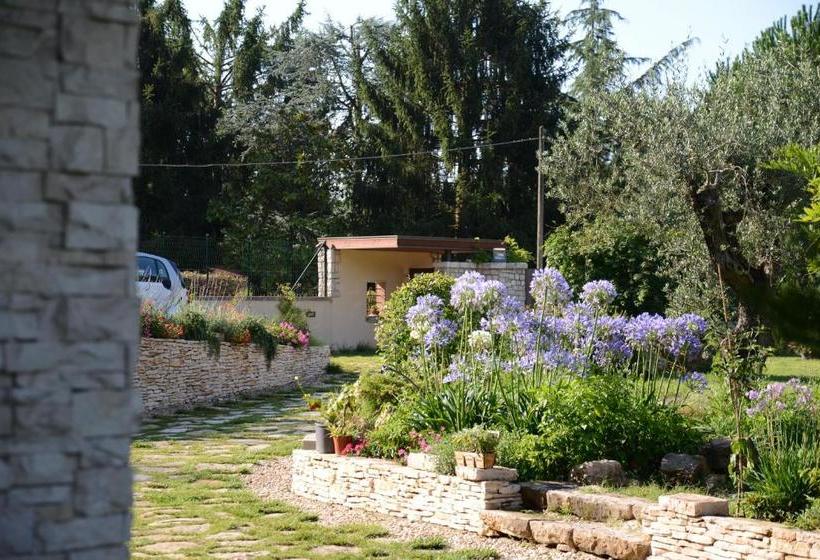 مبيت وإفطار Beb La Passeggiata