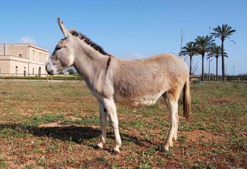 مبيت وإفطار Masseria Galatea Agriturismo