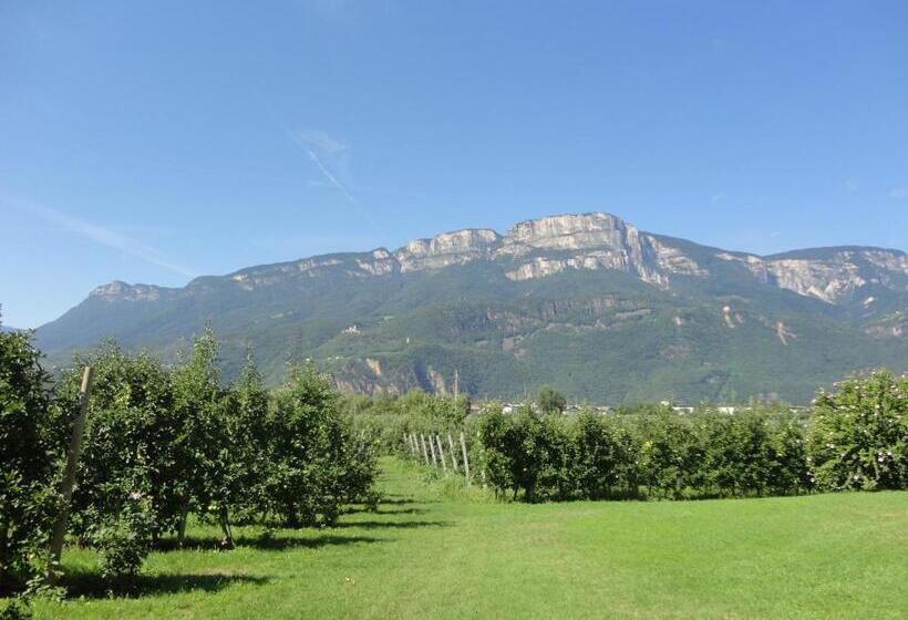 Отель Greifenstein