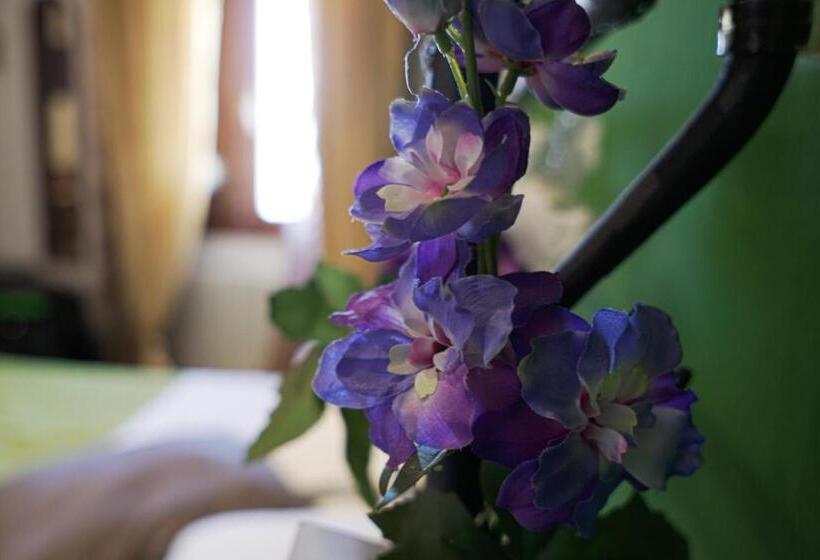 B&b Le Undici Lune