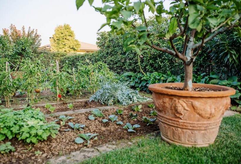 مبيت وإفطار La Dolce Vita