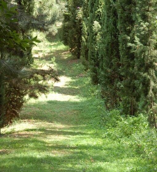 مبيت وإفطار La Vecchia Quercia