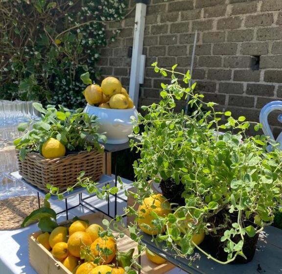 בית מלון כפרי Borgo Cacciatori