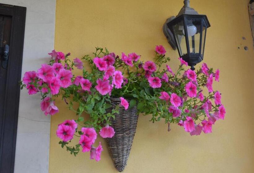 Villa Adriana B&b