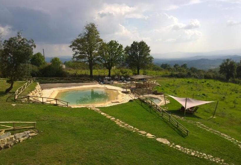 B&b Casale Di Poggioferro