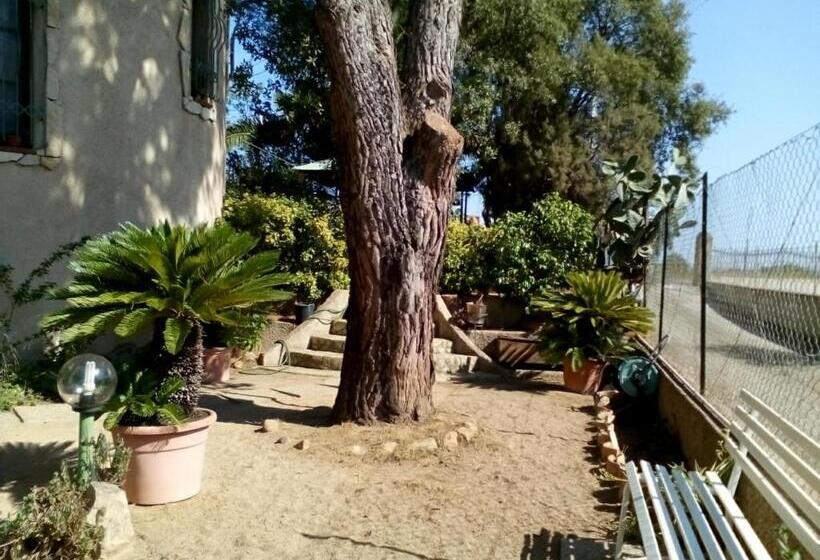 B&b Il Vigneto