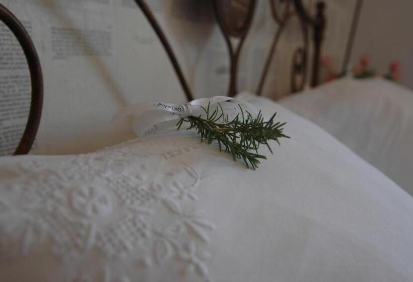 مبيت وإفطار Apricus Locanda Boutique