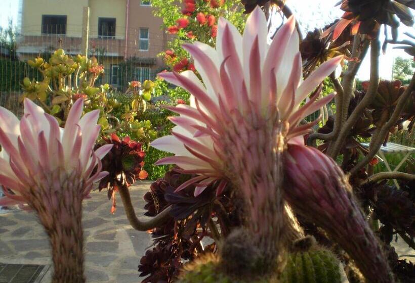 민박 Il Giardino Di Emilio